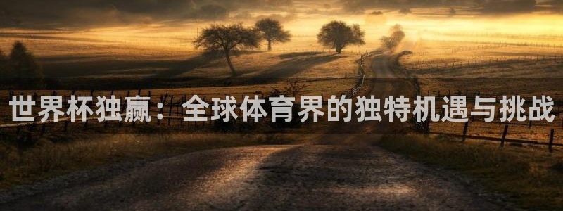 世界杯比赛赛程：世界杯独赢：全球体育界的独特机遇与挑战