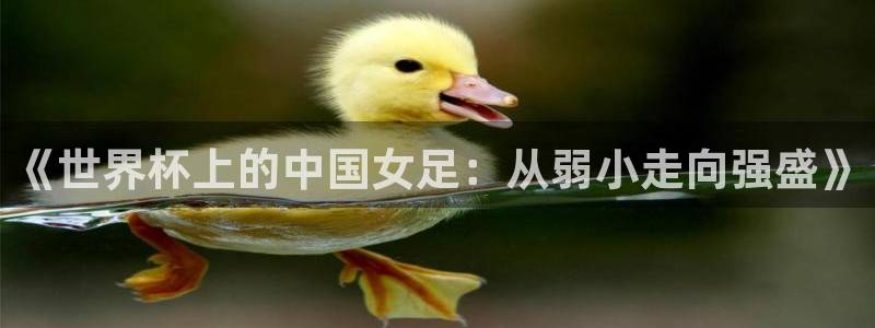 看世界杯：《世界杯上的中国女足：从弱小走向强盛》