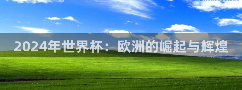 2026世界杯直播免费观看:2024年世界杯:欧洲的崛起与辉煌