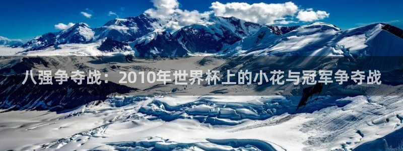 2026世界杯中国队:八强争夺战:2010年世界杯上的小花与冠军争夺战