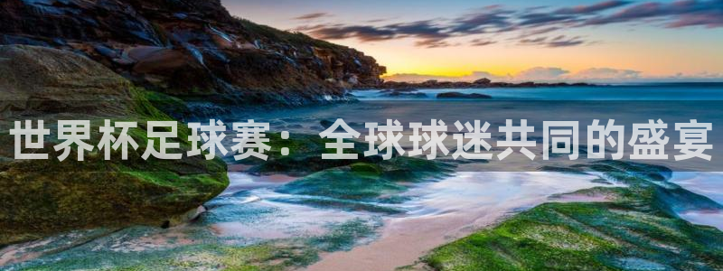 世界杯在线直播入口：世界杯足球赛：全球球迷共同的盛宴