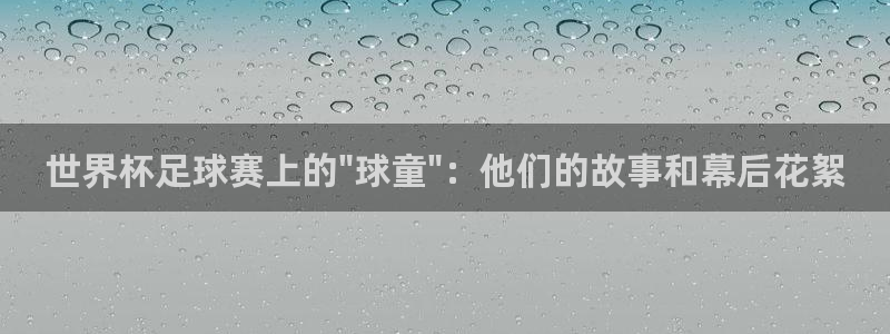 2006世界杯：世界杯足球赛上的\