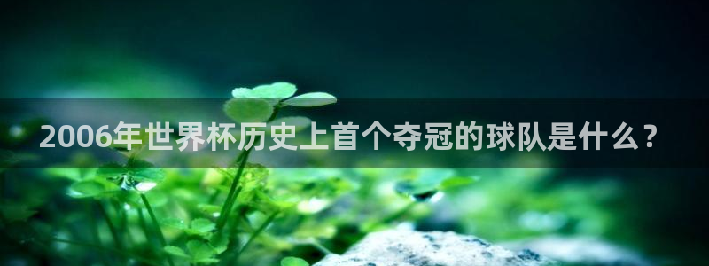 2026年世界杯赛程：2006年世界杯历史上首个夺冠的球队是什么？