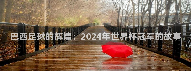 足球世界杯时间:巴西足球的辉煌:2024年世界杯冠军的故事
