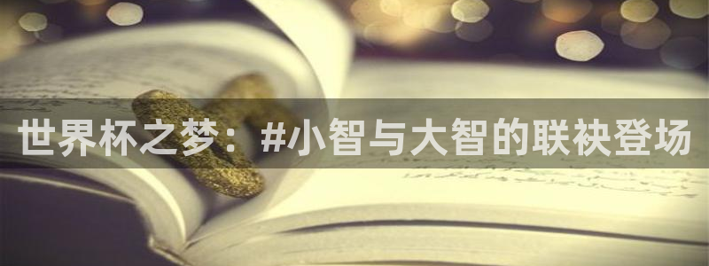 足球世界杯预选赛：世界杯之梦：#小智与大智的联袂登场