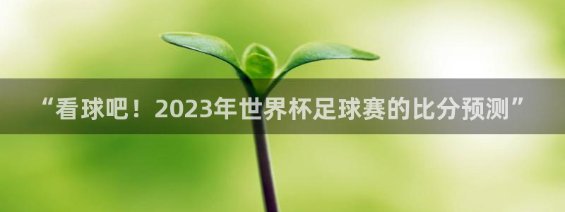 世界杯第一场比赛：“看球吧！2023年世界杯足球赛的比分预测”