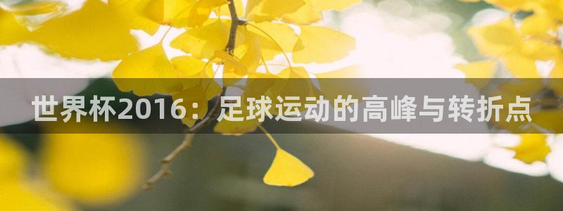 2006年世界杯：世界杯2016：足球运动的高峰与转折点