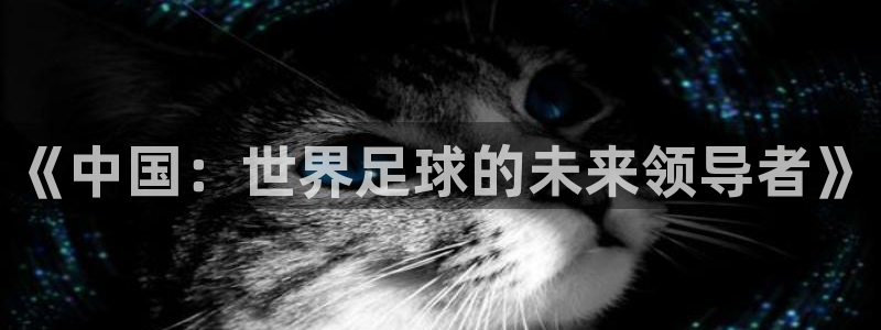 世界杯直播：《中国：世界足球的未来领导者》